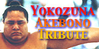 Akebono Tribute