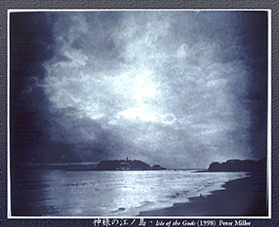 Peter Miller
